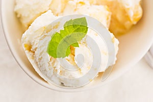 Vanilla Ice Cream with Mint in bowl Organic product