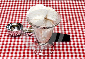 Vanilla Ice Cream and Scoop