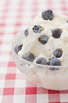 Vanilla icecream and blueberries