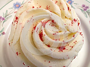 Vanilla Icing Cupcake