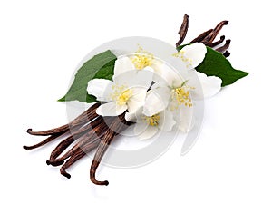 Vanilla with jasmine