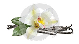 Vanilla with leaves horizontal pod isolated on white photo