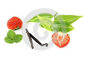 Vanilla leaves with strawberries