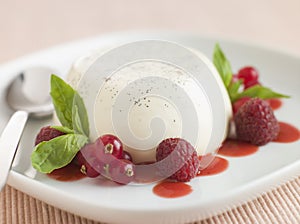 Vanilla Panna cotta