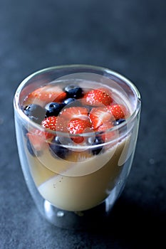 Vanilla panna cotta with berries jelly