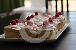 Vanilla pink cupcakes cupcake with frosting desert delicious