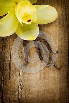 Vanilla Pods and Flower