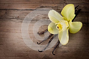 Vanilla Pods and Flower