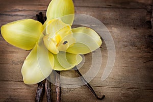 Vanilla Pods and Flower