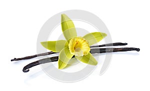 Vanilla pods with a flower as ingredient for baking