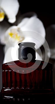 Vanilla pods, flower and bottle on a wooden background