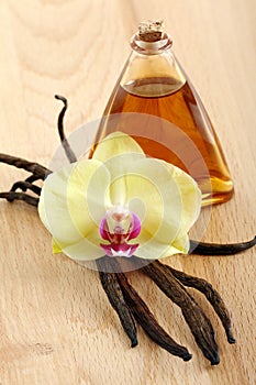 Vanilla pods, flower and bottle