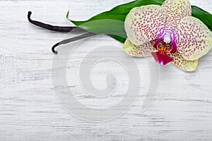 Vanilla pods and orchid flower on wooden background. Copy space.