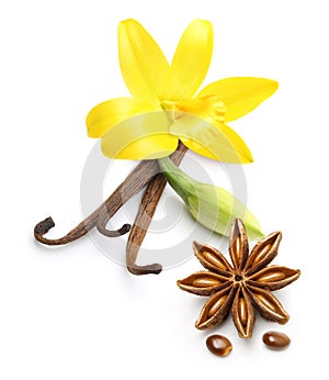 Vanilla pods, star anise seed and orchid flower isolated