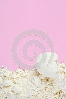 Vanilla protein powder scoop on pink background. Egg powder, soy and whey powder, casein supplements.