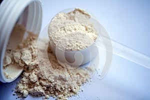 Vanilla protein powder in scoop on a white background