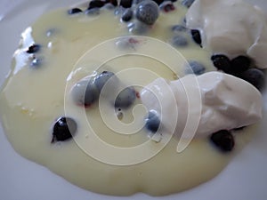 vanilla pudding with black currant berries