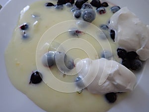 vanilla pudding with black currant berries