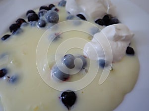 vanilla pudding with black currant berries