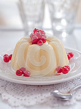 Vanilla pudding with red currants on a plate photo