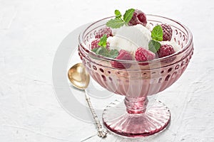 Vanilla raspberry mint ice cream