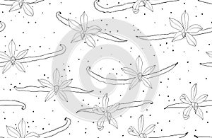 Vanilla seamless pattern. Flower and pod. Background with spice