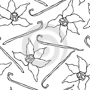 Vanilla Stick and Flower Seamless Endless Pattern. Vanilla Pod and Blossom Seasonal Background. Spice and Flavor Mulled Wine Cockt
