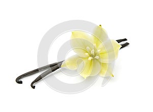 Vanilla stick with vanilla flower