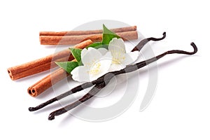 Vanilla sticks and cinnamon with flower isolated on white background