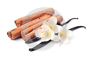 Vanilla sticks and cinnamon photo