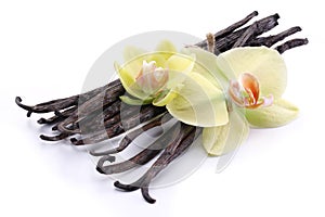 Vanilla sticks with a flower.