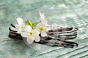 Vanilla sticks and flowers