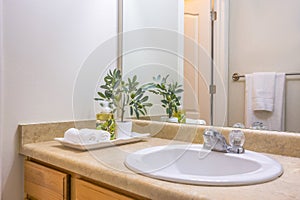 Vanity area of bathroom with close up view of towels and plants beside the sink