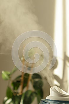 Vapor from Humidification of air in apartment