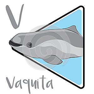 Vaquita is the world\'s rarest mammal.