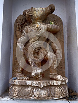 Varaha or Boar Narasimha Sandstone Statue, Jagannath Temple, Paduwa, Katni