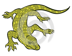 Varan vector illustrarion