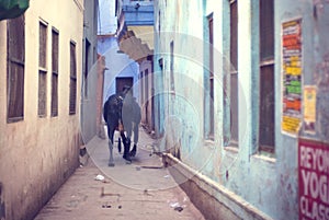 Varanasi Alley