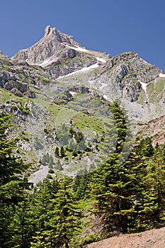 Vardousia Mountain Peak