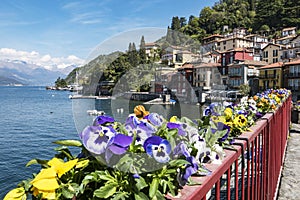 Varenna ( Lake Como )