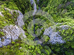 Varghis Gorges in Covasna and Harghita county, Transylvania, Rom