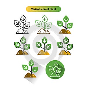 Variant icon of plant free for commercial use photo