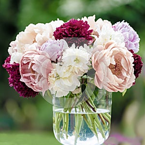 Peonies in vase, different kind of peonies in variant colors with blurred background. photo