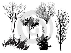 Variants of the trees