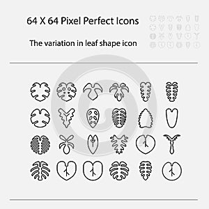 The variation of leaf shape icon. Variation of leaves vector outline icon