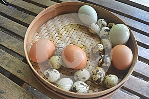 Variation of poultry eggs in a bamboo container