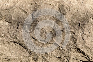 Variation of sharp abstract texture patterns