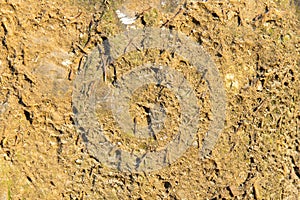 Variation of sharp abstract texture patterns