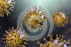 Varicella zoster or chickenpox virus photo