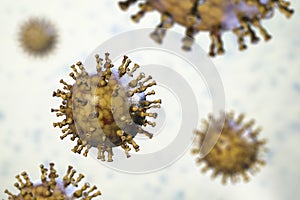 Varicella zoster or chickenpox virus photo